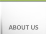 About Best Logics Web Solutions